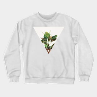 Croton Crewneck Sweatshirt